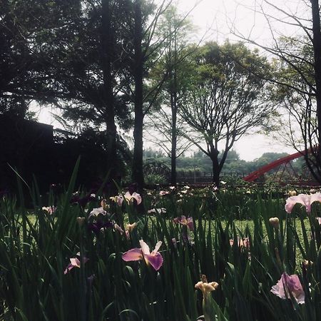 레인보우 브리지 B&B 싼즈 외부 사진